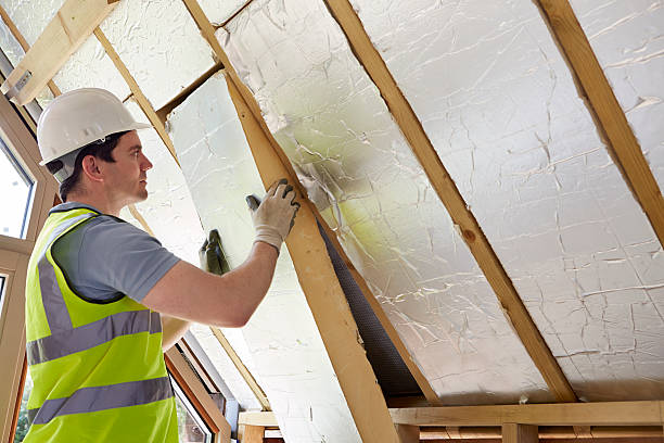 Eco-Friendly or Green Insulation Solutions in Pahokee, FL